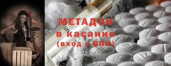 прущие грибы Бородино