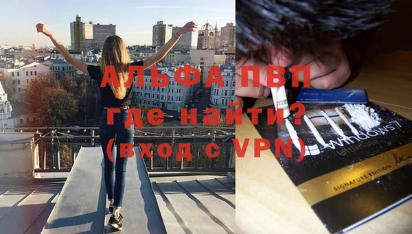 ПСИЛОЦИБИНОВЫЕ ГРИБЫ Бронницы