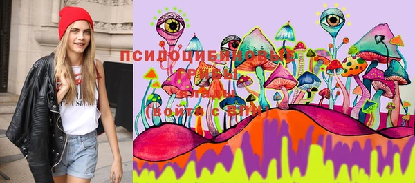 ГАЛЛЮЦИНОГЕННЫЕ ГРИБЫ Михайловка