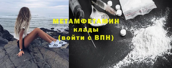 прущие грибы Бородино