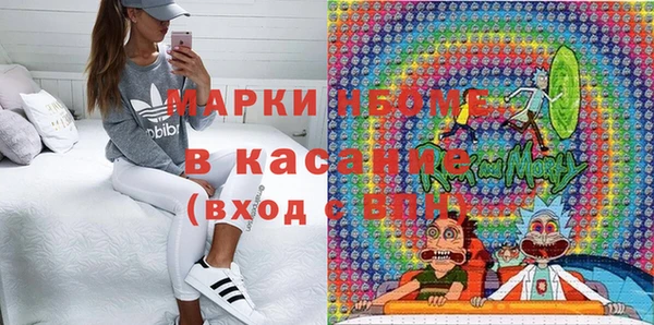 прущие грибы Бородино