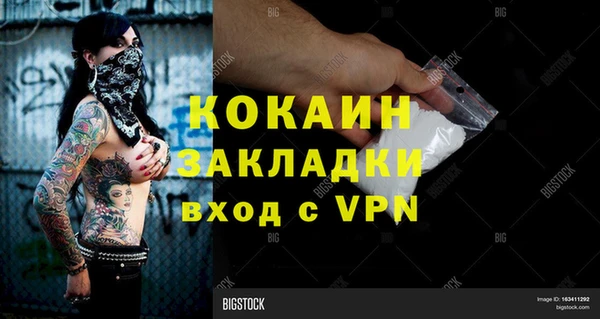 прущие грибы Бородино