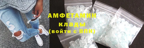 прущие грибы Бородино