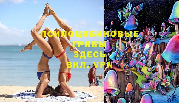 прущие грибы Бородино