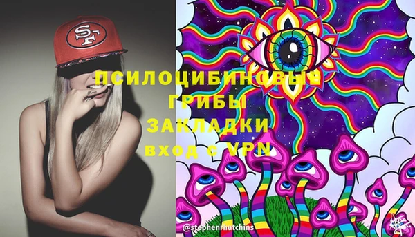 прущие грибы Бородино